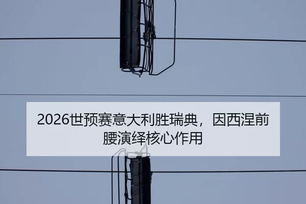 shi-yu-sai-yi-da-li-sheng-rui-dian-yin-xi-nie-qian-yao-yan-yi-he-xin-zuo-yong-2-623.jpg