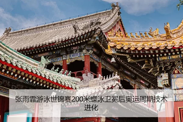 zhang-yu-fei-you-yong-shi-jin-sai-mi-die-yong-wei-mian-hou-ao-yun-zhou-qi-ji-shu-jin-hua-2-762.jpg